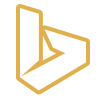 Google Icon