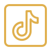 Tiktok Icon